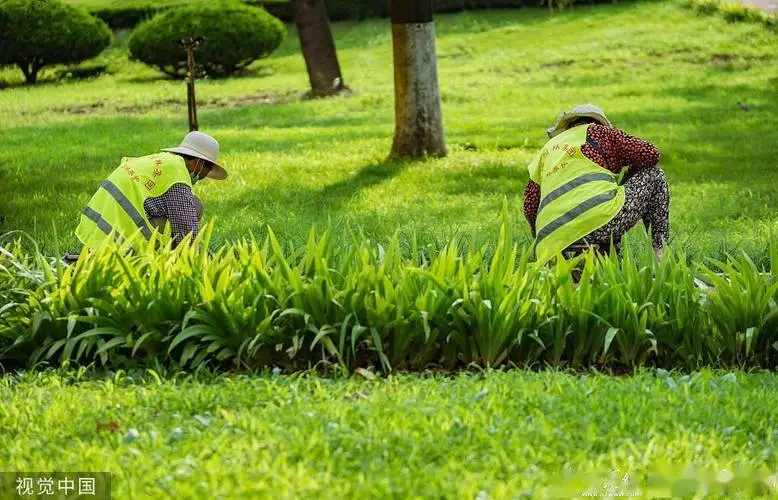 阜阳智能仓储物流仓库在哪